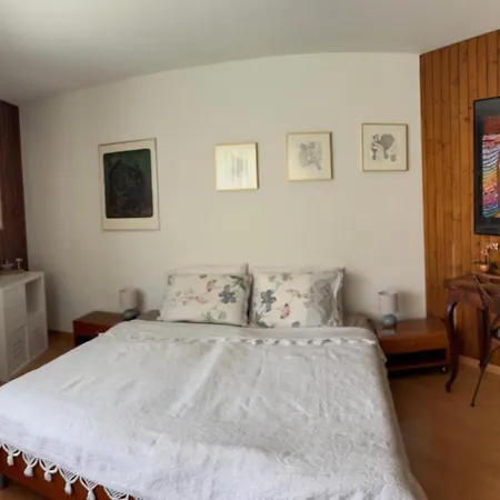 Appartement, Hyper Central, A 2 Min Des Pistes Et De Le Reste, Parking Couvert